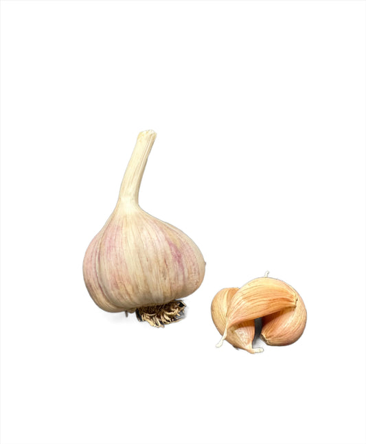 Spanish Roja Gourmet Garlic