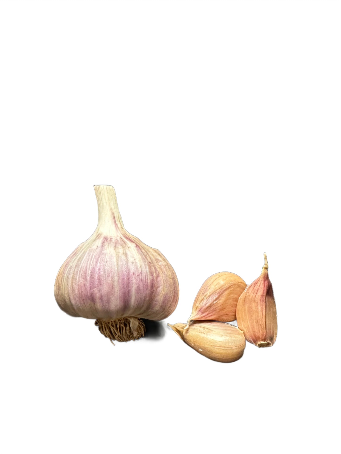 Georgian Fire Gourmet Garlic