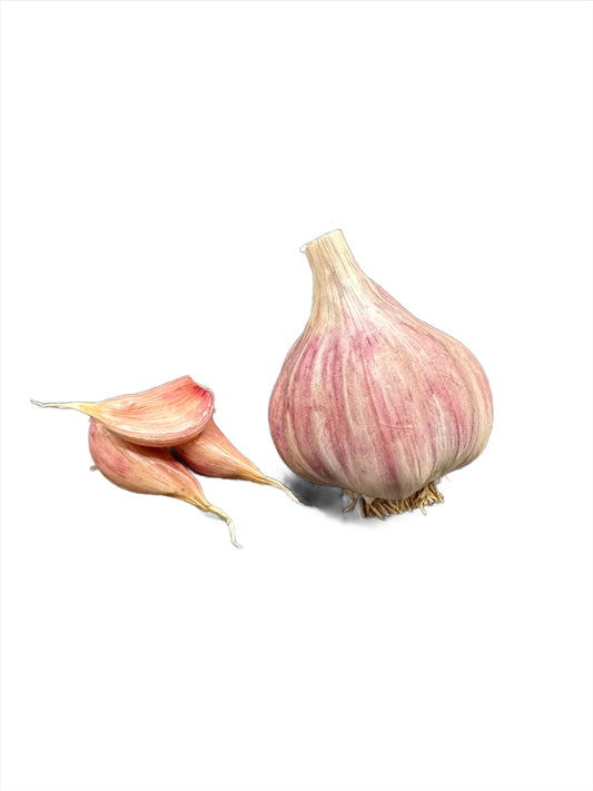 Chesnok Red Gourmet Garlic