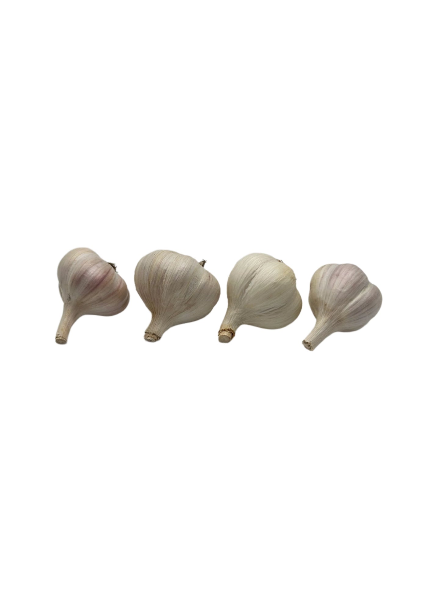 Garlic Variety Pack