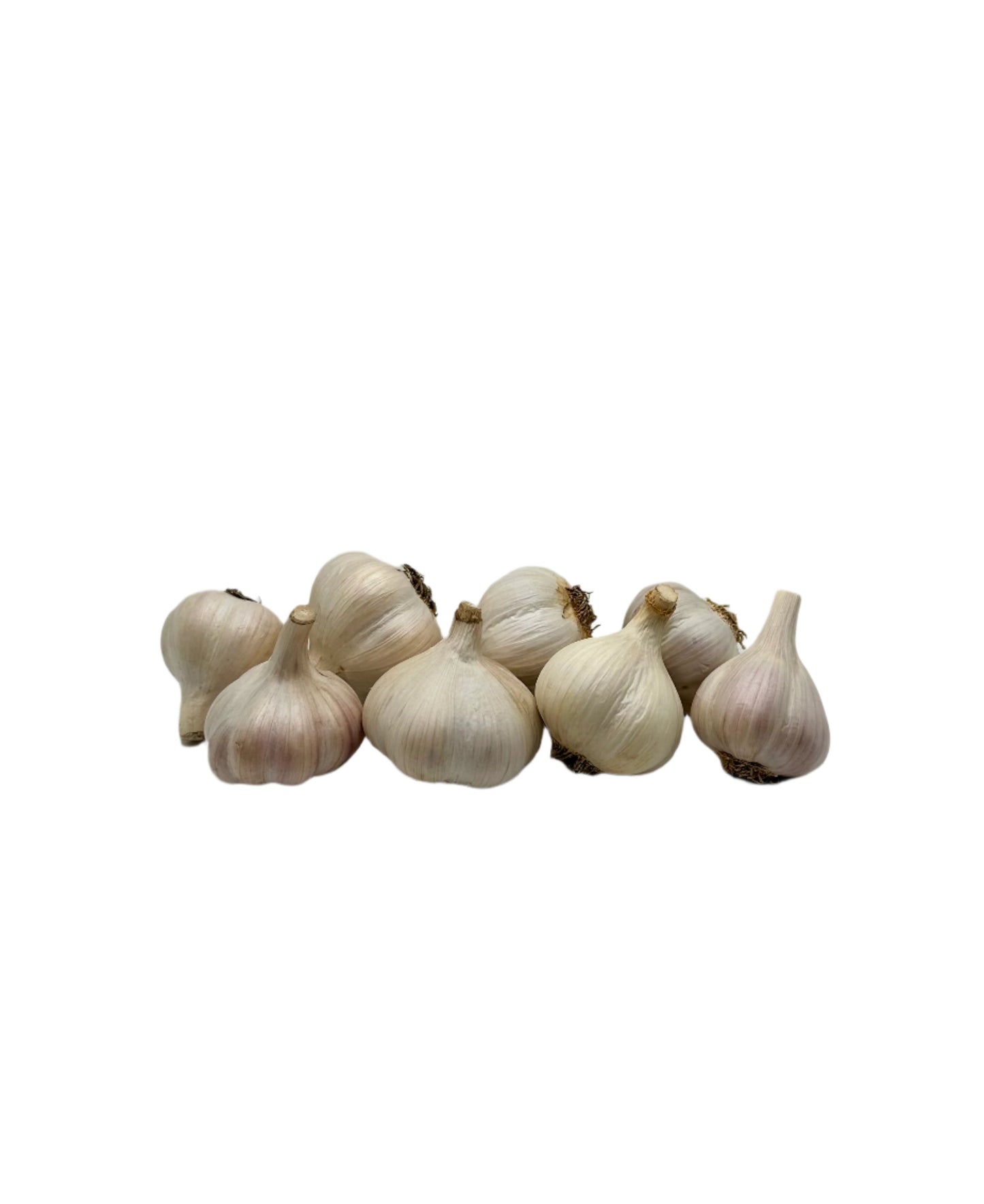 Garlic Variety Pack