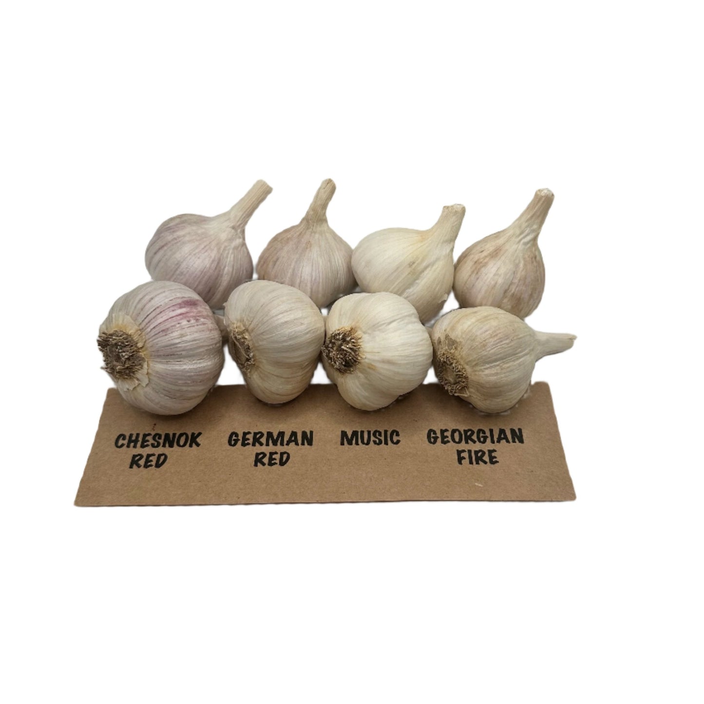 Garlic Variety Pack