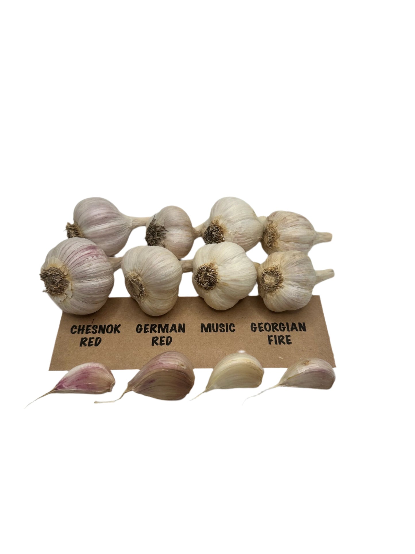 Garlic Variety Pack