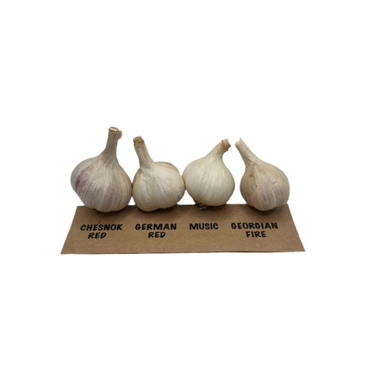 Garlic Variety Pack