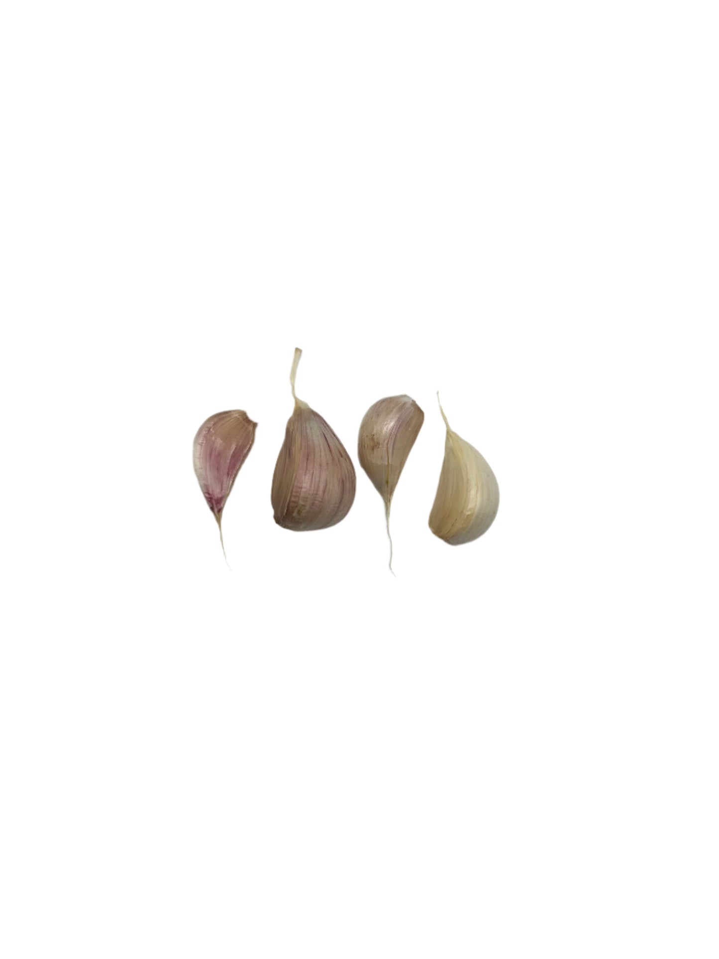 Garlic Variety Pack